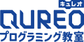 QUREO Programming Class